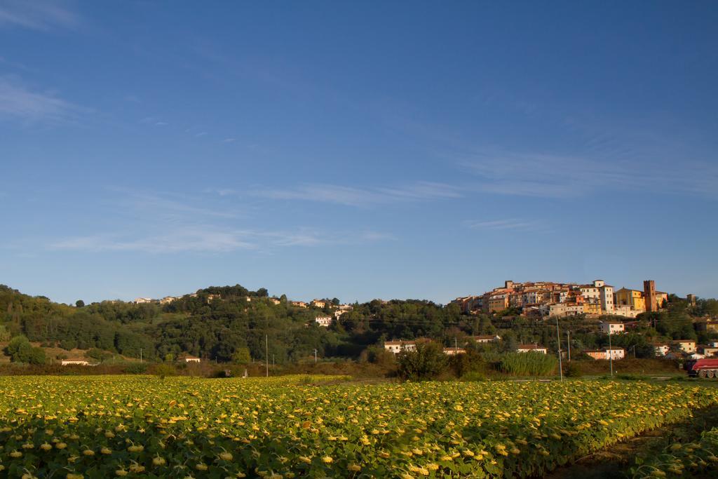 B&B Il Ramaiolo Santa Maria a Monte Extérieur photo